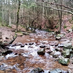 Trôs - Marets ( Photo Detry )