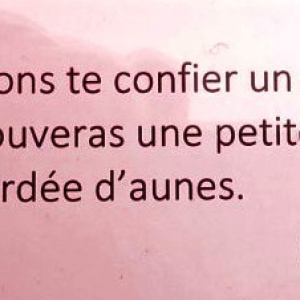 L'amour d'Apollinaire pour Stavelot et sa région