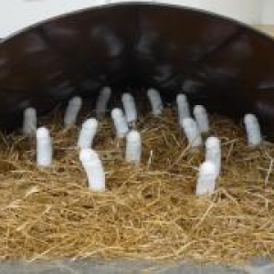 Le clonage facile ( Jean Pirnay )