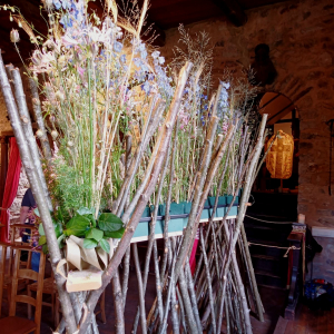 Castelflora 2023 ( photo : F. Detry )