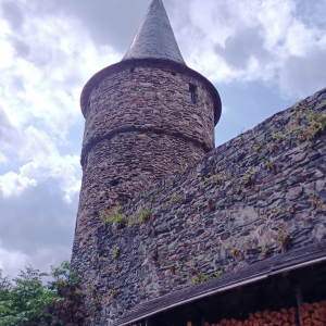 Castelflora à Reinhardstein 2023