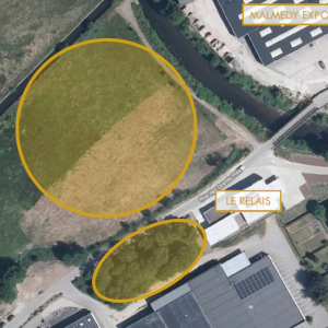 4 Le pré humide et le terrain derrière le Relais sont également concernés. ©Doc