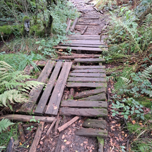 VENNTRILOGIE Etape 4 