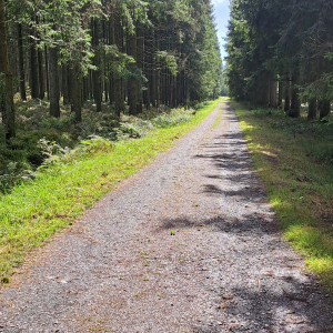 VENNTRILOGIE Etape 4 