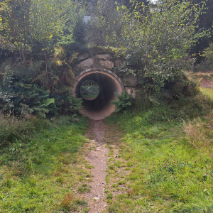 VENNTRILOGIE Etape 4 