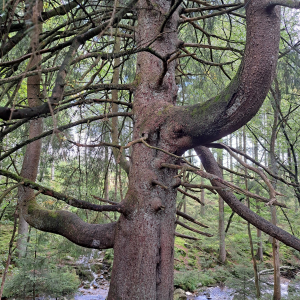 VENNTRILOGIE Etape 4 