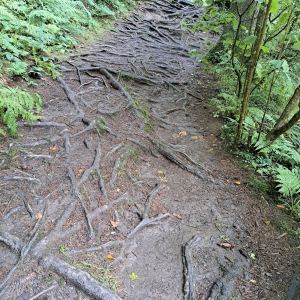 VENNTRILOGIE Etape 4 