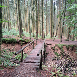 VENNTRILOGIE Etape 4 