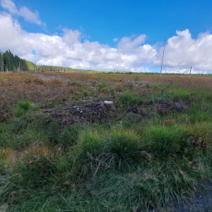 VENNTRILOGIE Etape 4 