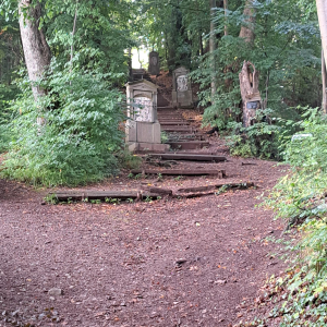 VENNTRILOGIE Etape 5 et 6