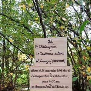 Promenade du "Thier des Oies"