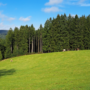 VENNTRILOGIE Etape 5 et 6