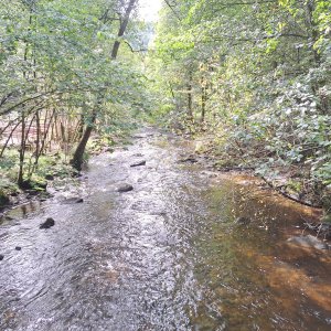 VENNTRILOGIE Etape 5 et 6