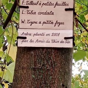 Promenade du "Thier des Oies"