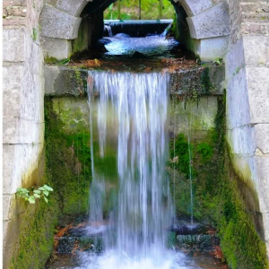 Source du Foron  ( photo Mich Flam )