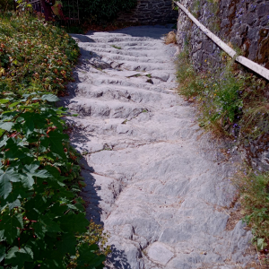 L'escalier celtique du château