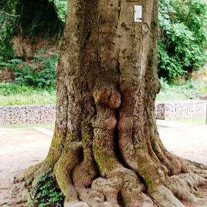 Dans le parc de la Cathédrale
