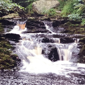 Les cascatelles ( Photo : F. Detry ) Les cascatelles ( Photo : F. Detry )