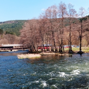 Le remous dans l'Amblève au pied de la cascade ( photo F. Detry )