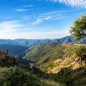 7 Les Cévennes