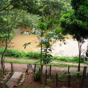 Au restaurant "Flor de Ipe" à Goias ( Photo F. Detry )