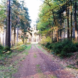 W 14 « Le tour des Hauts Sarts »