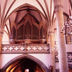 La cathédrale Saint-Florin de Vaduz ( Photo : F. Detry )