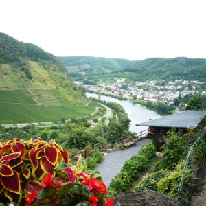 Cochem ( photo Detry )