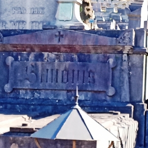 9) Famille Simonis, alliée à la Famille de Biolley  (Photo F. Detry ) 