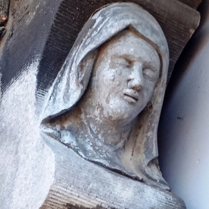 9) Famille Simonis, alliée à la Famille de Biolley  (Photo F. Detry ) 