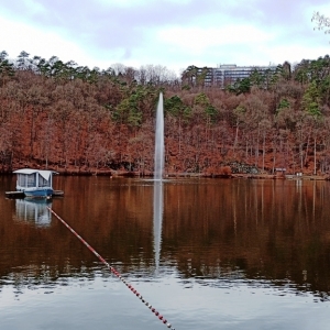 Autour du lac