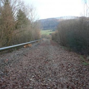 Les tuyaux en attente le long de l'ancienne voie ferree