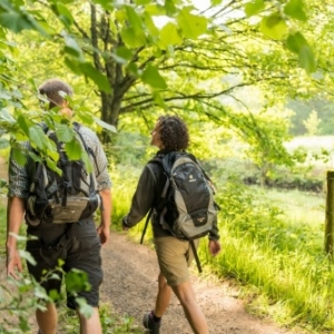 Randonnee pedestre ( Photo Eifel Tourismus )