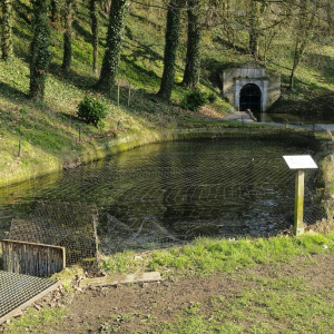 Source du Foron  ( photo Mich Flam )