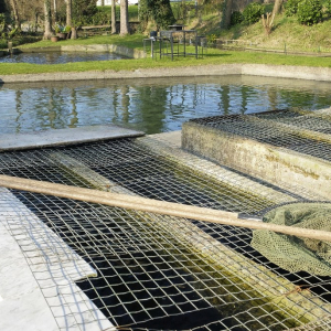 Commanderie et pisciculture ( photo Mich Flam )