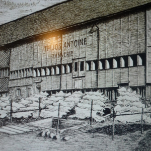 Atelier Cuir ( photo Detry )