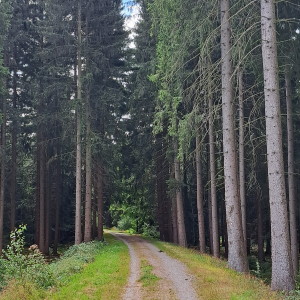 VENNTRILOGIE ETAPE 2 : EYNATTEN - EUPEN  