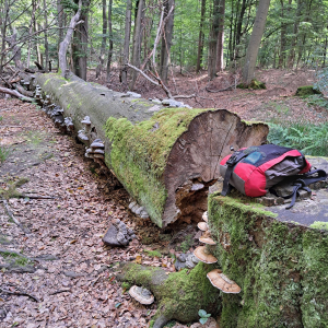 VENNTRILOGIE ETAPE 2 : EYNATTEN - EUPEN  