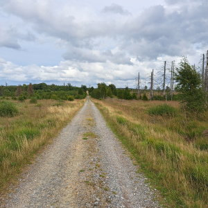 VENNTRILOGIE ETAPE 3 : EUPEN – BOTRANGE 