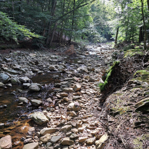 VENNTRILOGIE ETAPE 3 : EUPEN – BOTRANGE 