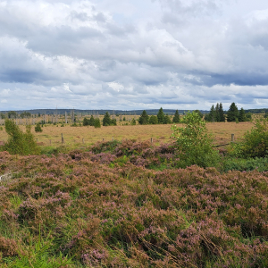 VENNTRILOGIE ETAPE 3 : EUPEN – BOTRANGE 