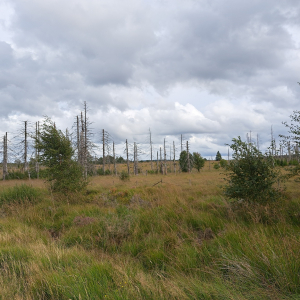 VENNTRILOGIE ETAPE 3 : EUPEN – BOTRANGE 