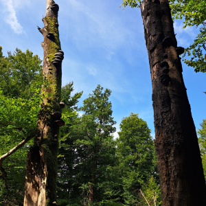 VENNTRILOGIE ETAPE 3 : EUPEN – BOTRANGE 