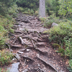 VENNTRILOGIE ETAPE 3 : EUPEN – BOTRANGE 