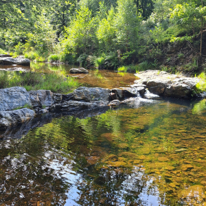 VENNTRILOGIE ETAPE 3 : EUPEN – BOTRANGE 