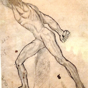 Etude du gladiateur Borghèse ( Rodin )