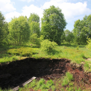 hautes-fagnes-extraction-tourbe ( ostbelgien.eu )