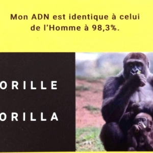 Concours pour les enfants