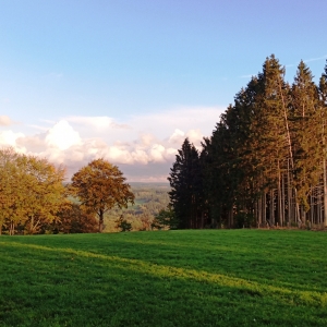 W 14 « Le tour des Hauts Sarts »