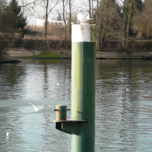 La Frette sur Seine  ( photo : F Detry )